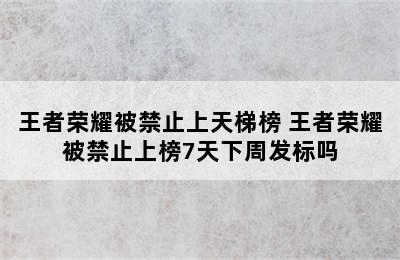 王者荣耀被禁止上天梯榜 王者荣耀被禁止上榜7天下周发标吗